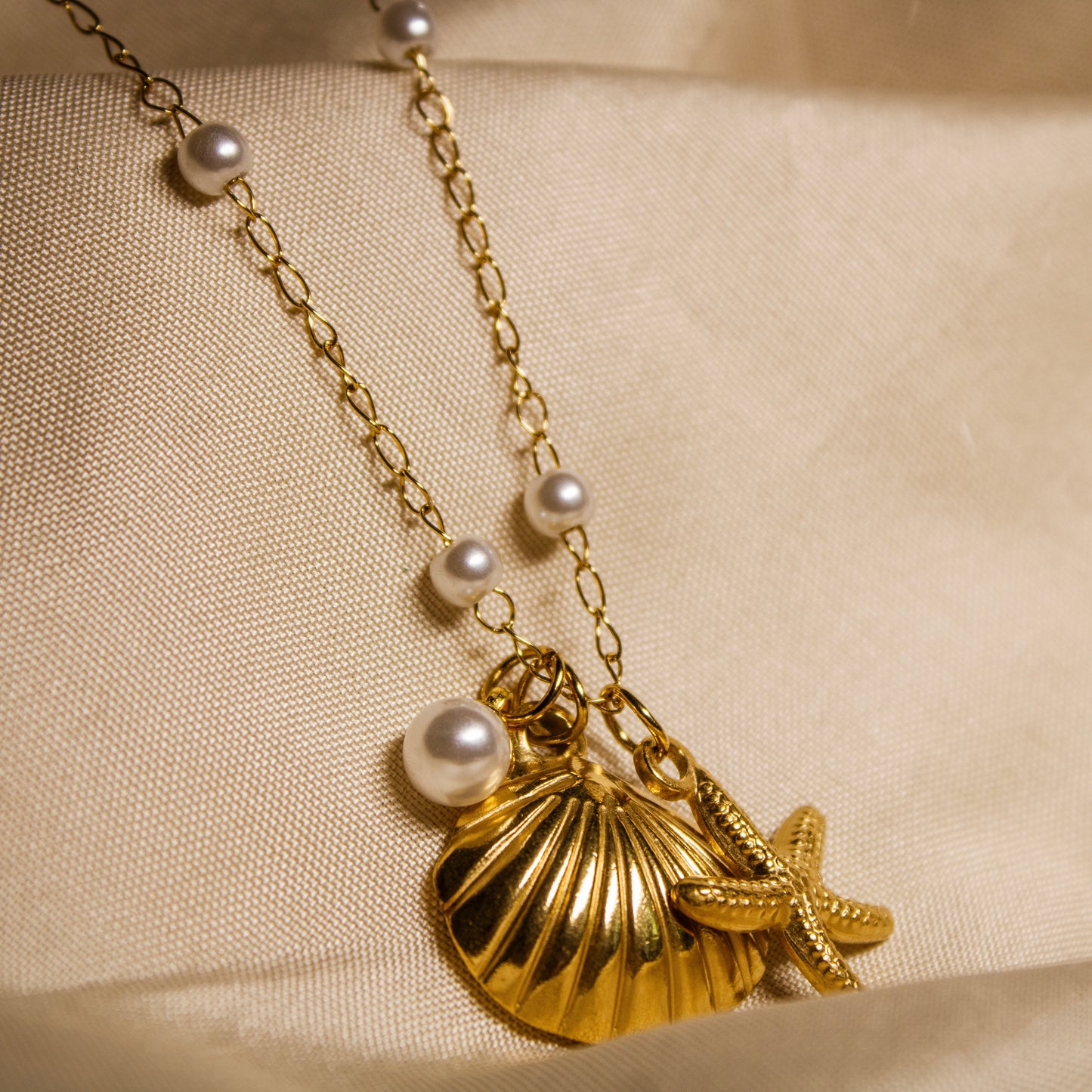 Collier coquillage
